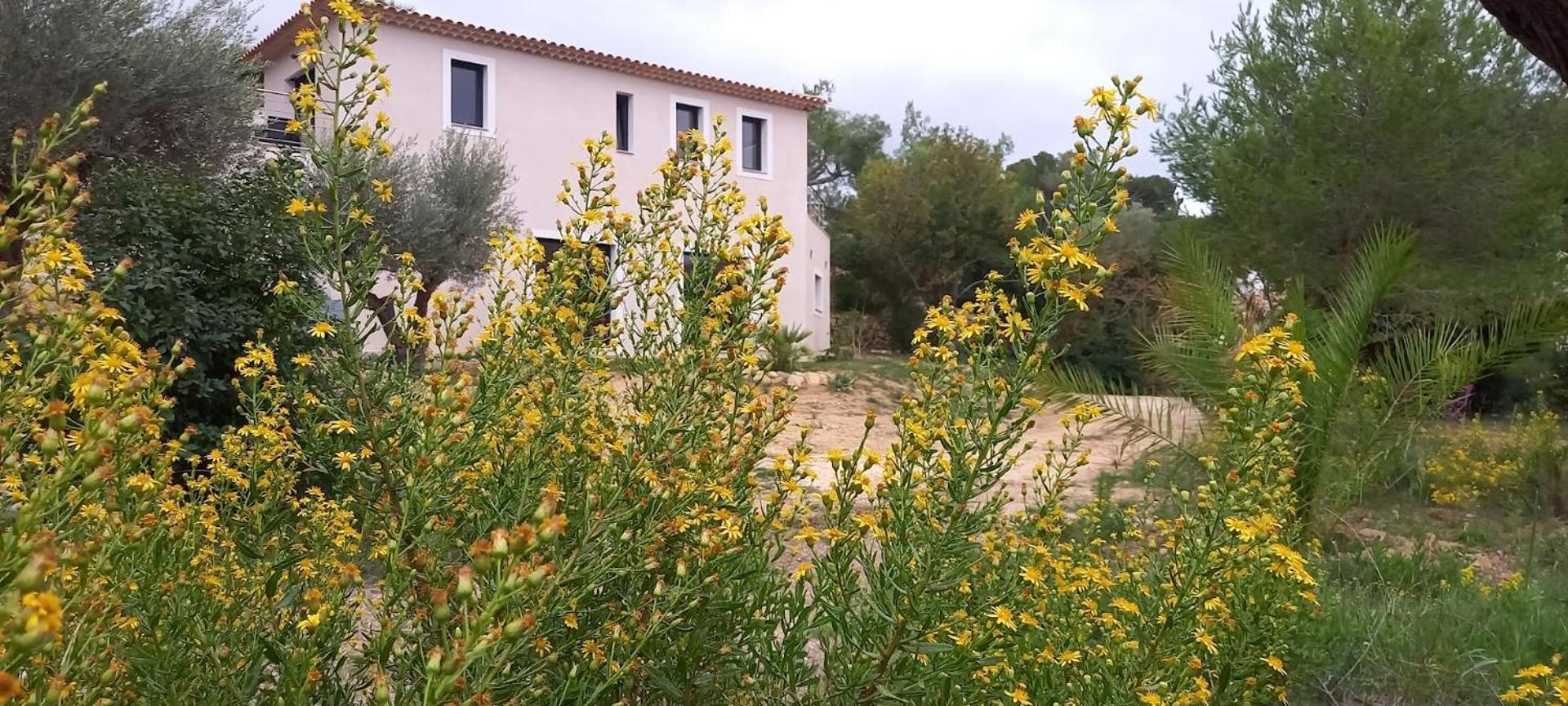 Domaine En Pleine Nature Et Tout Pres De La Plage Sanary-sur-Mer Exteriör bild